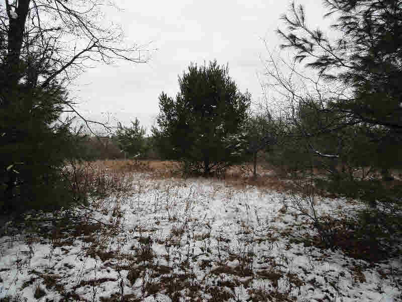 2 Rifle River Road Omer, MI 48749 - Photo 5 of 5