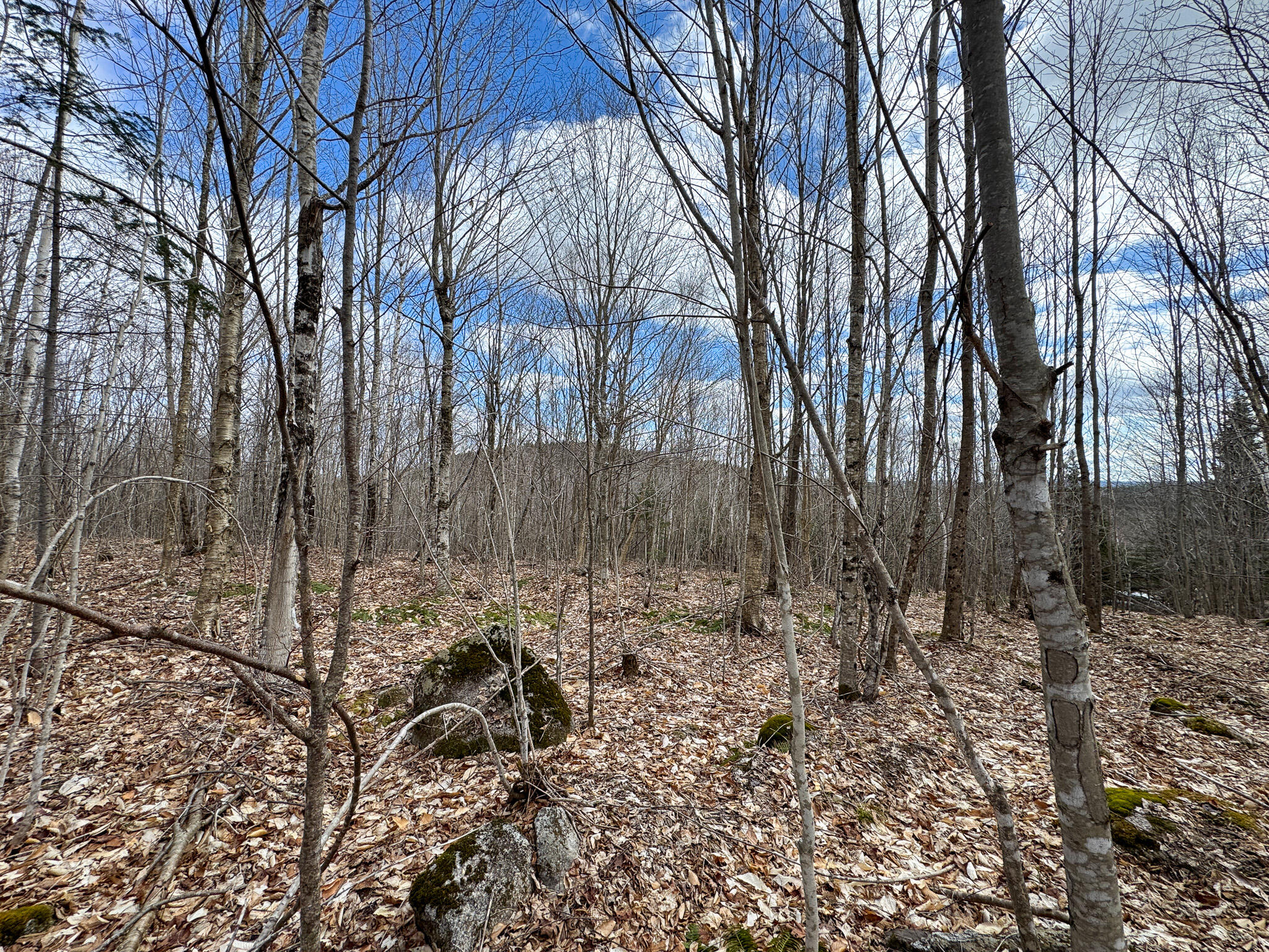 Lot 16 Upper Dobsis Road Lakeville, ME 04487 - Photo 15 of 26 15