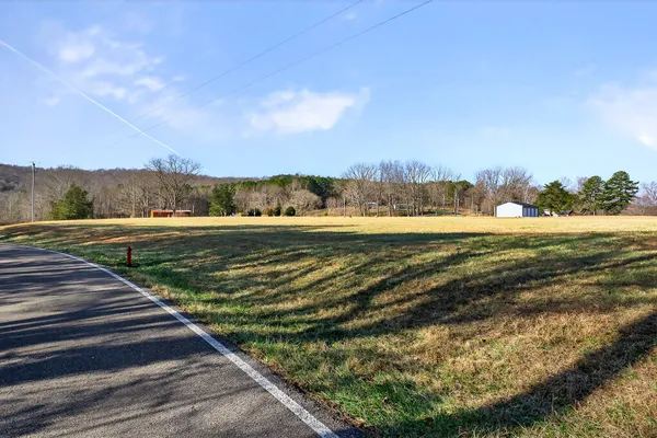 a view of a field with a tree in the background
