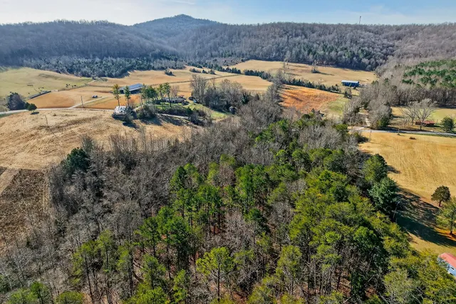 $549,900 | 305 Caney Bend Drive, Doyle, TN 38559