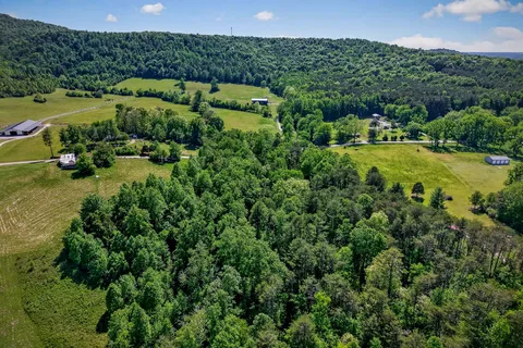 an aerial view of green landscape with trees houses and mountain view