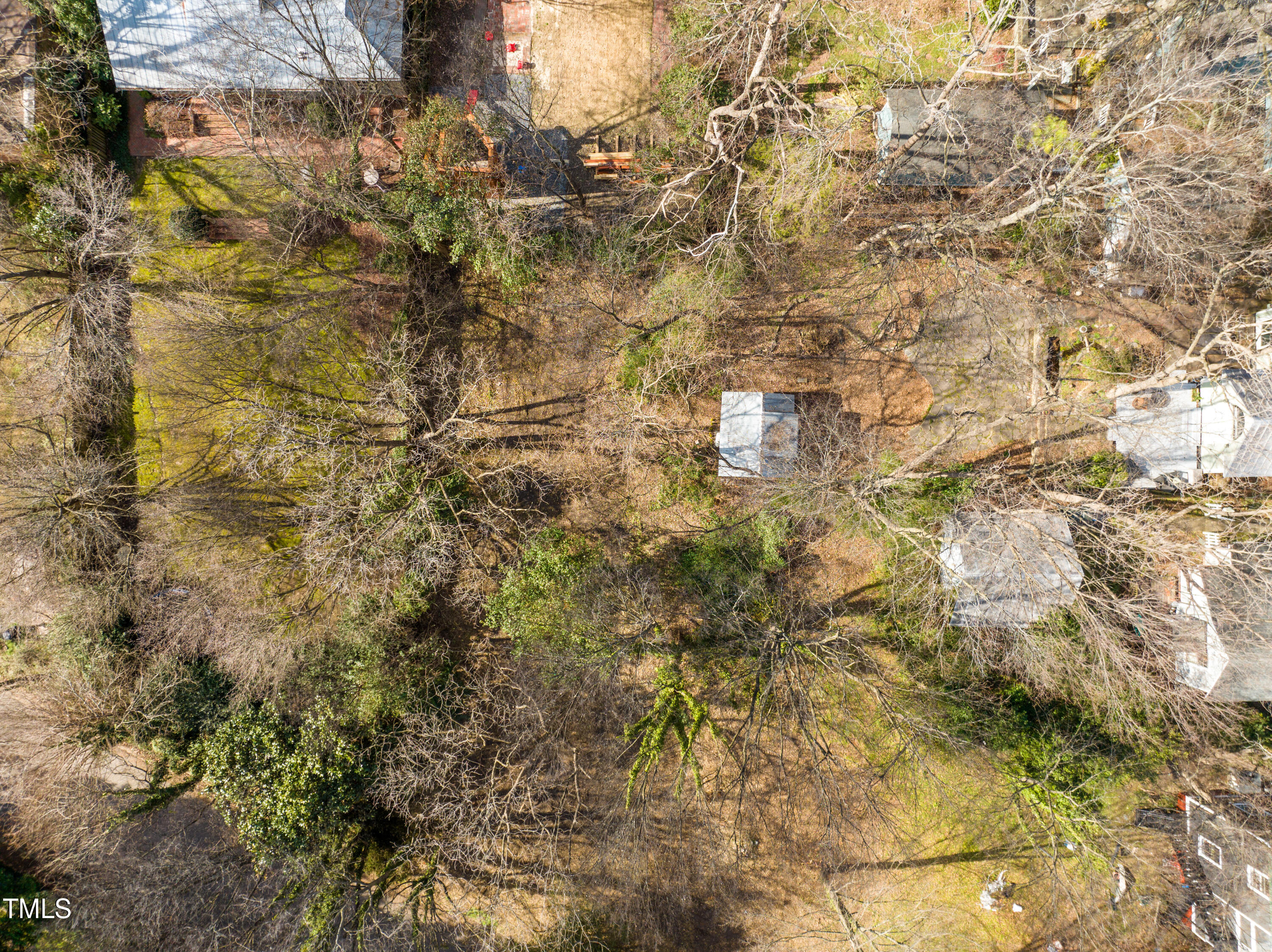 419 Watauga Street Raleigh, NC 27604 - Photo 12 of 19 a view of a tree