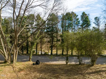 a view of a backyard with large trees
