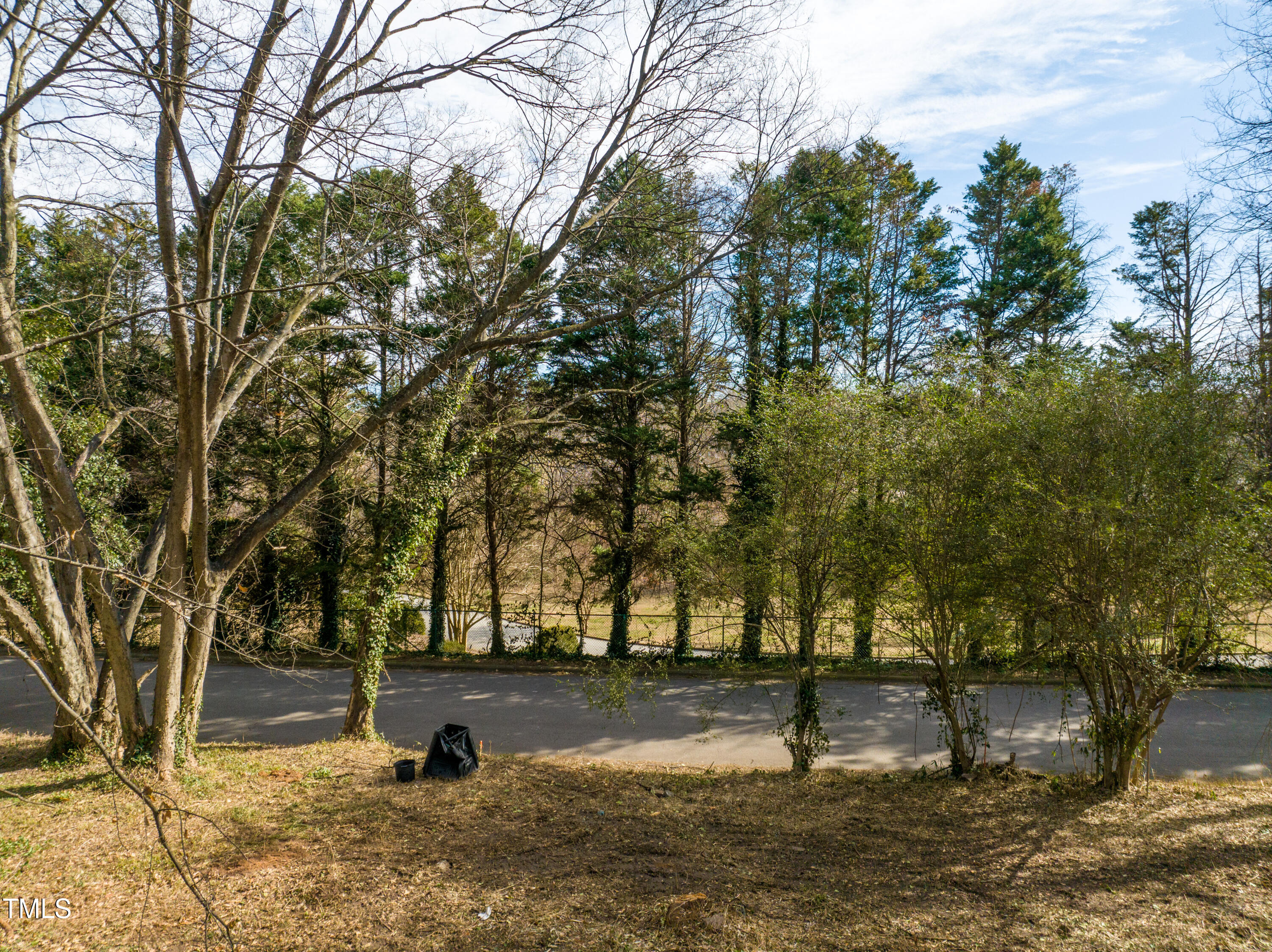 419 Watauga Street Raleigh, NC 27604 - Photo 14 of 19 a park with full of trees