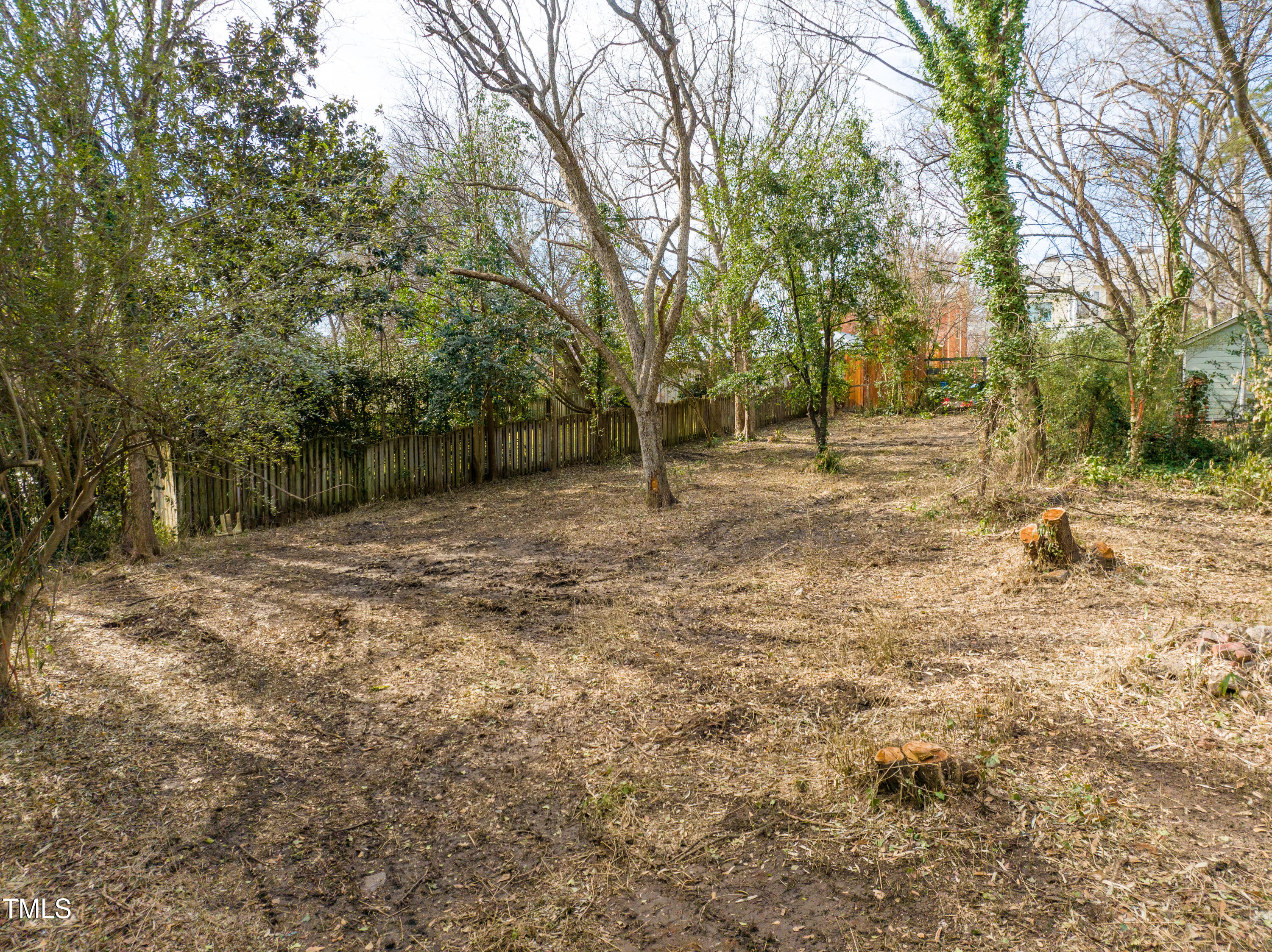 419 Watauga Street Raleigh, NC 27604 - Photo 17 of 19 a view of a backyard with large trees