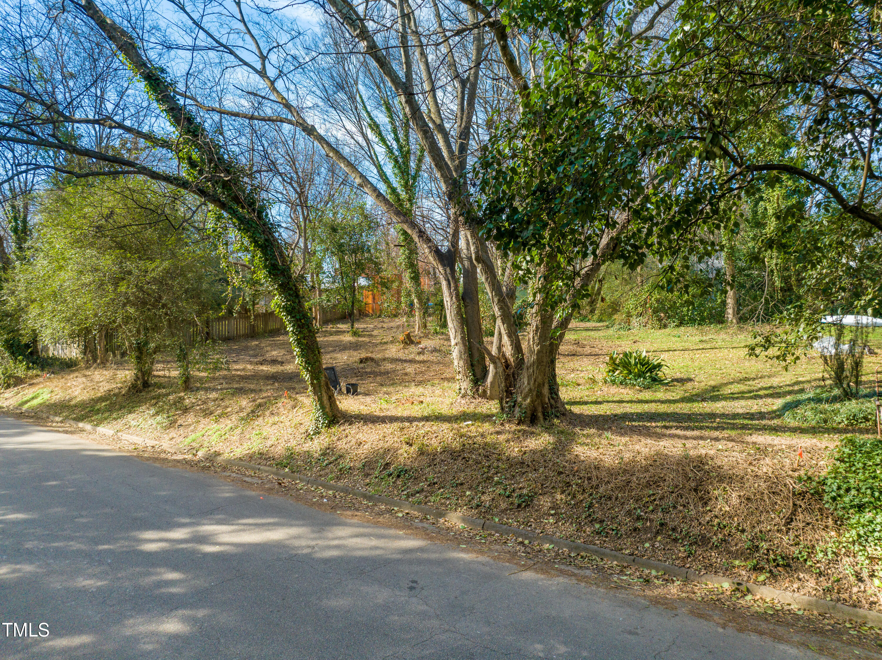 419 Watauga Street Raleigh, NC 27604 - Photo 2 of 19 a view of a yard with a tree