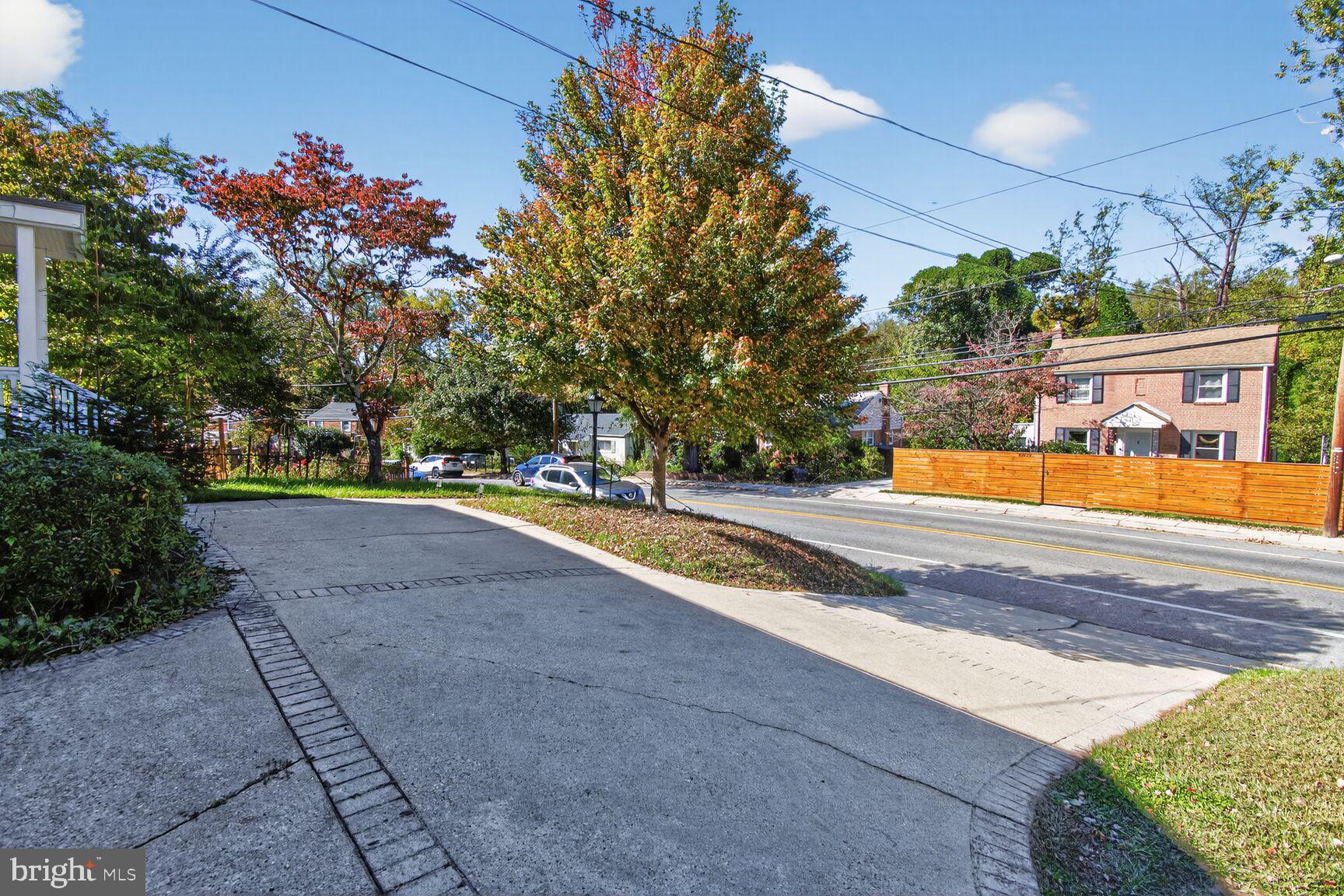 10021 Tenbrook Drive Silver Spring, MD 20901 - Photo 3 of 21 a view of yard with tree