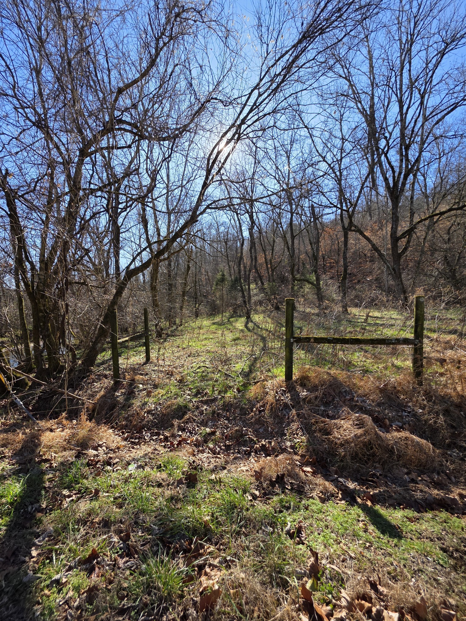 0 Rock Springs Road Ethridge, TN 38456 - Photo 20 of 22