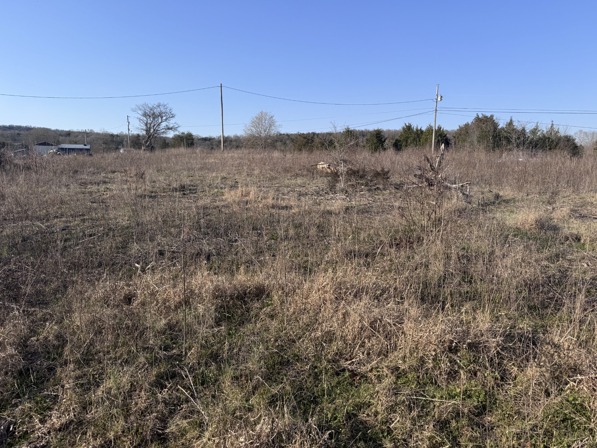 0 Ward Hollow Road Brush Creek, TN 38547 - Photo 2 of 2 a view of a dry yard