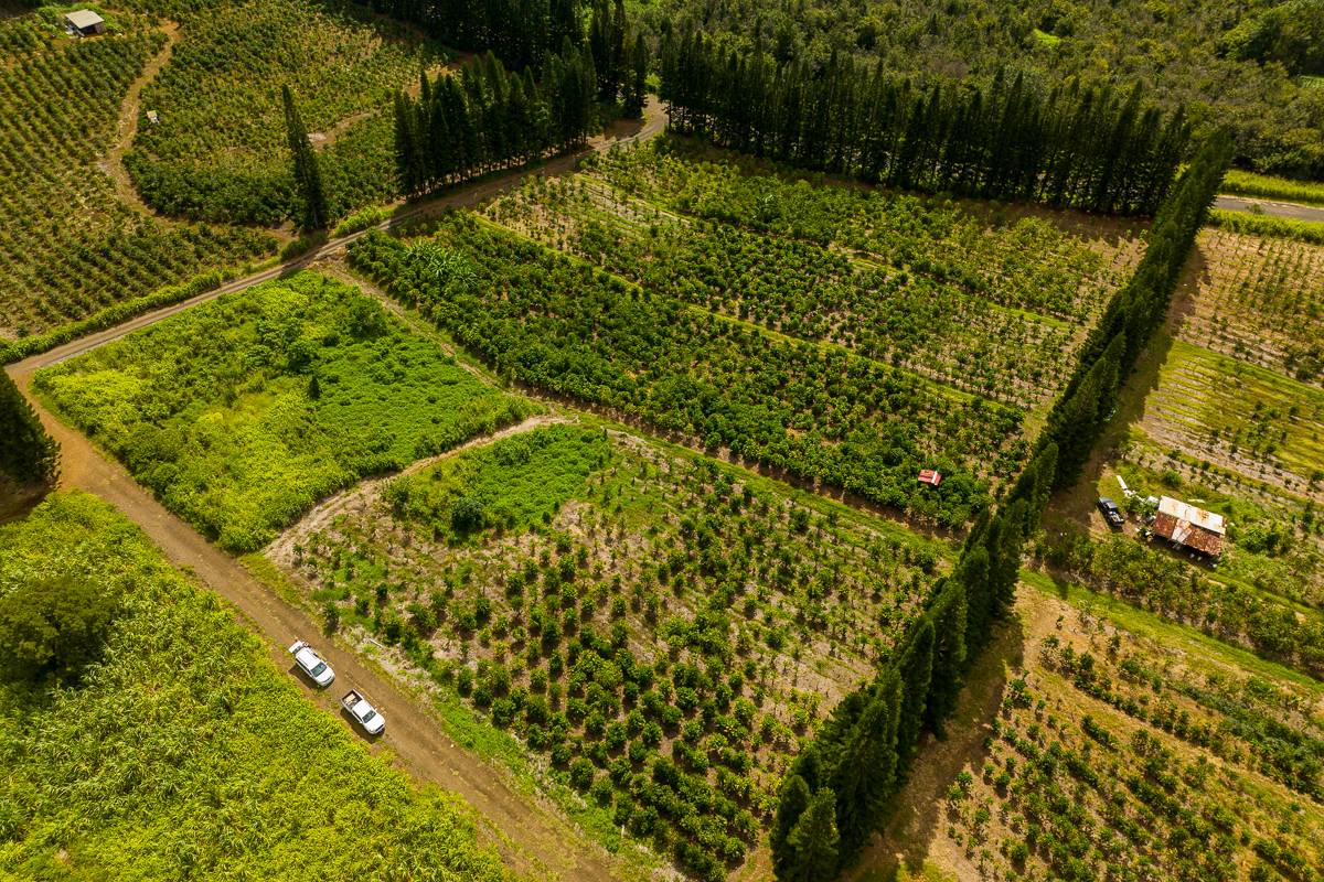 28 Lot Pahala, HI 96777 - Photo 2 of 12