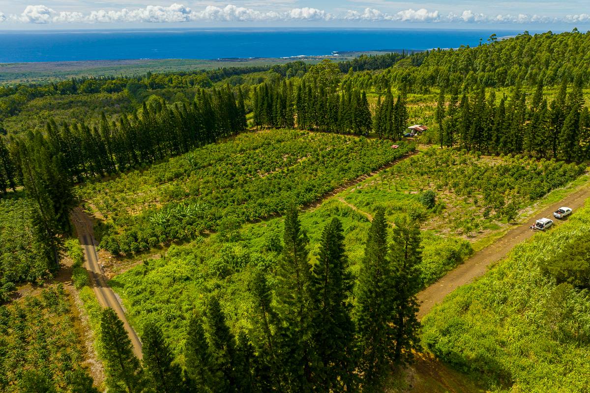 28 Lot Pahala, HI 96777 - Photo 3 of 12