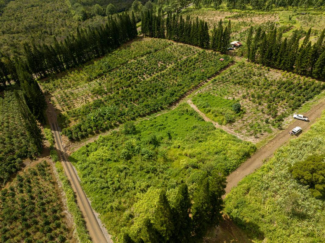 28 Lot Pahala, HI 96777 - Photo 7 of 12