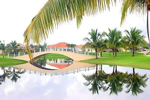 a view of a swimming pool with a garden and plants