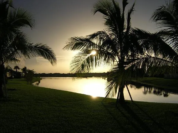 a view of an ocean and beach
