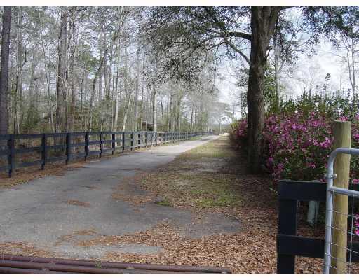 52457 Wilson Road Folsom, LA 70437 - Photo 2 of 8 Gallery Image 2