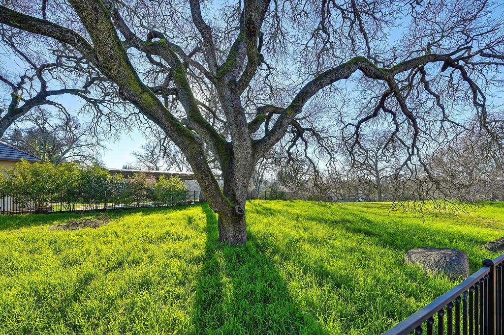 4022 Legend Drive Rocklin, CA 95765 - Photo 74 of 79