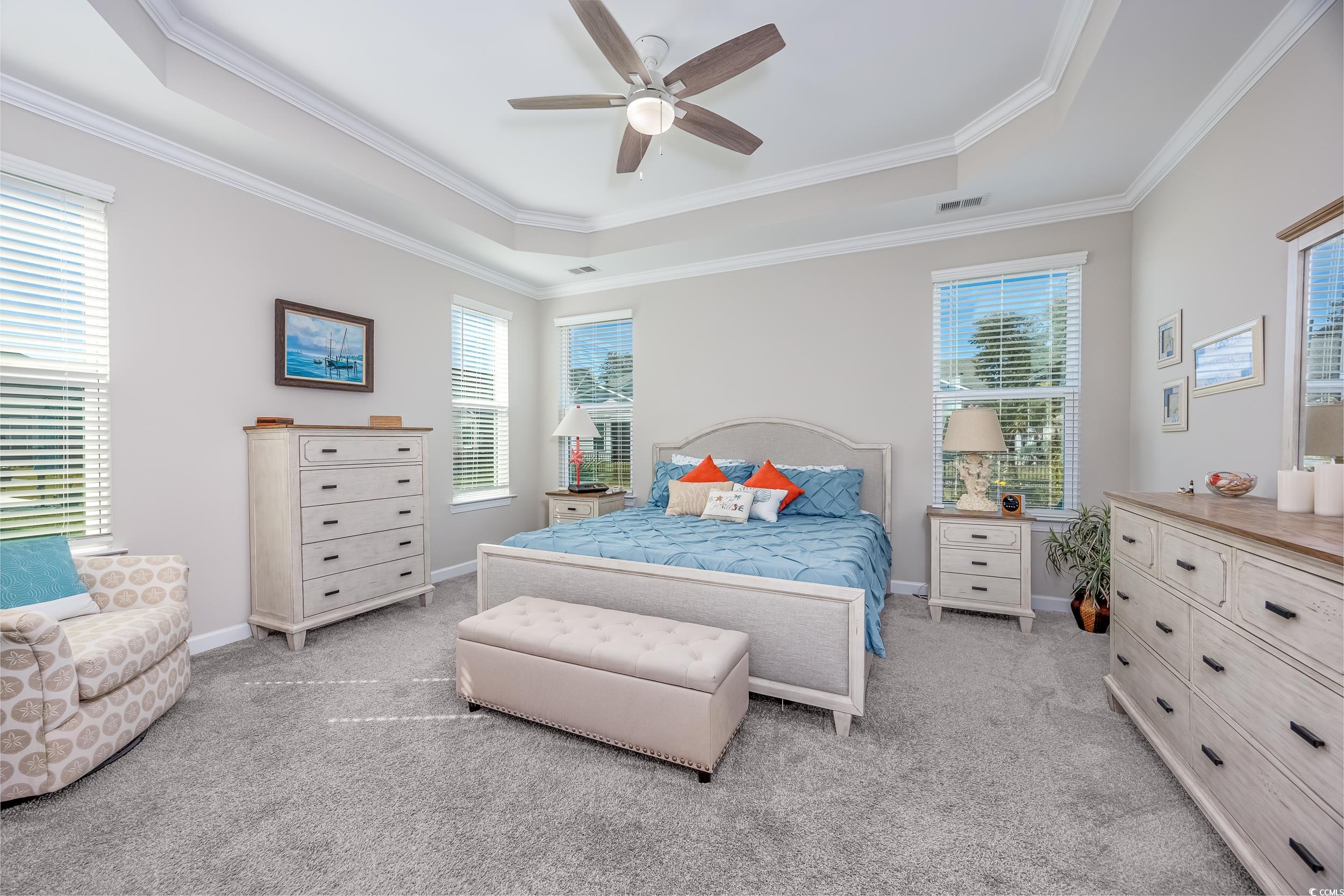 311 Switchgrass Loop Little River, SC 29566 - Photo 17 of 38 Bedroom with multiple windows, a raised ceiling, a