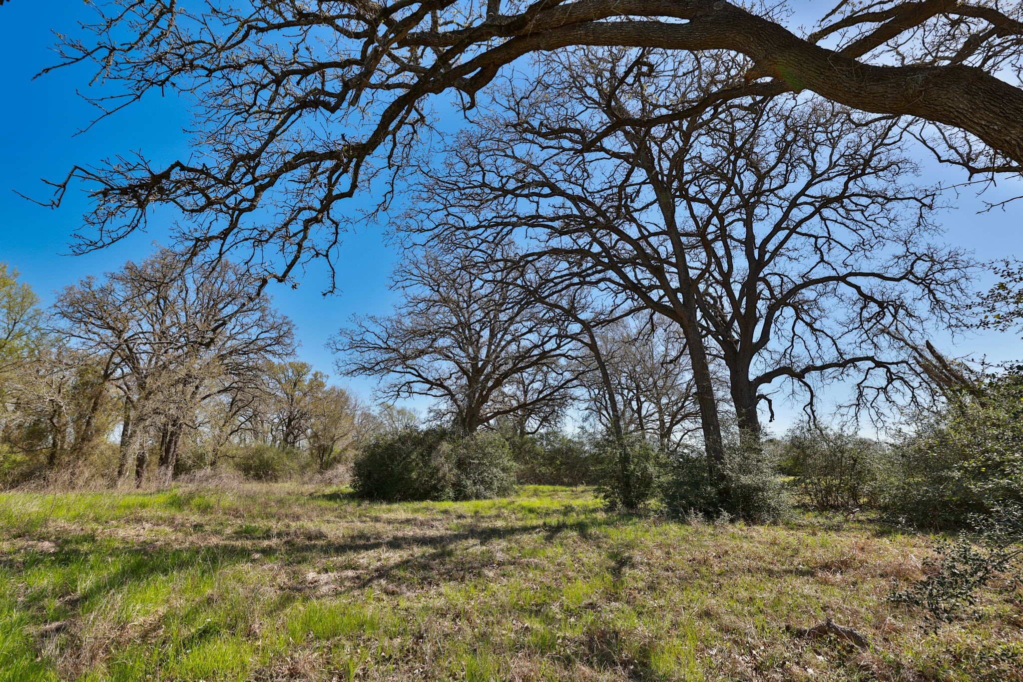 21100 Telephone Road Hempstead, TX 77445 - Photo 2 of 34