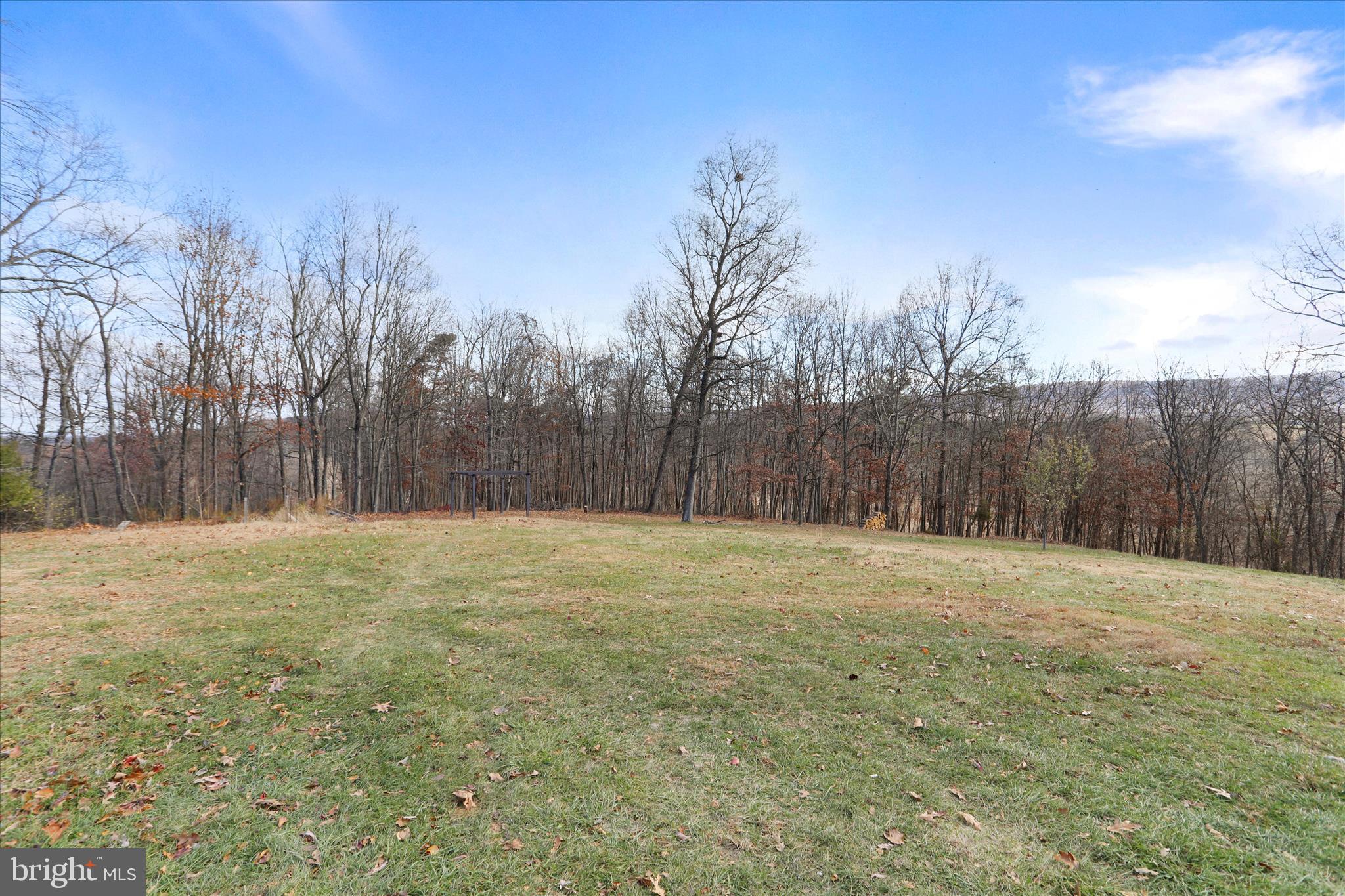 13 Oriole Circle Berkeley Springs, WV 25411 - Photo 8 of 36 a view of a yard with trees