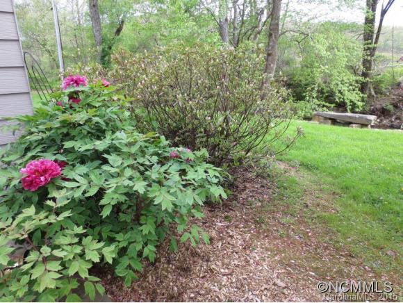 57 Marion Forest Road Sylva, NC 28779 - Photo 9 of 11 Gallery Image 9