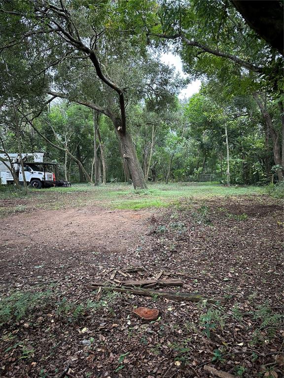 10141 Connerly Road Dade City, FL 33525 - Photo 9 of 12 Gallery Image 9