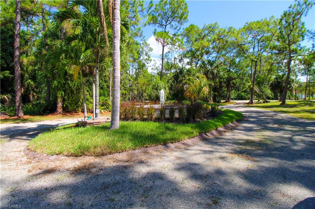 311 31st Street Northwest Naples, FL 34120 - Photo 11 of 50 a view of a park with large trees
