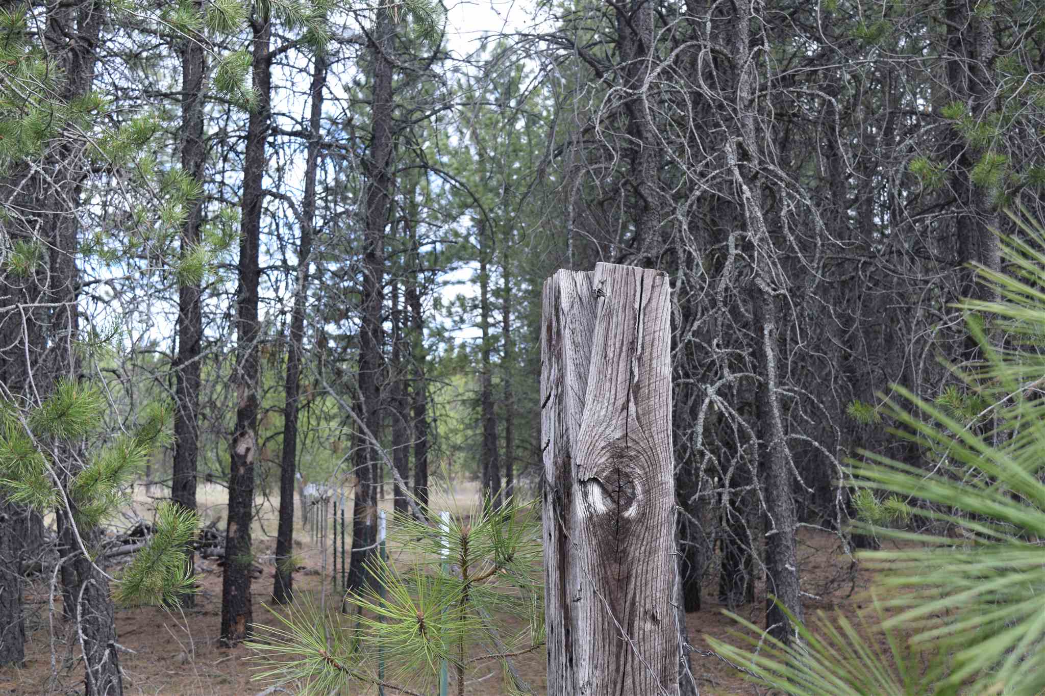 151-xx East Oregon Road Elk, WA 99009 - Photo 11 of 18