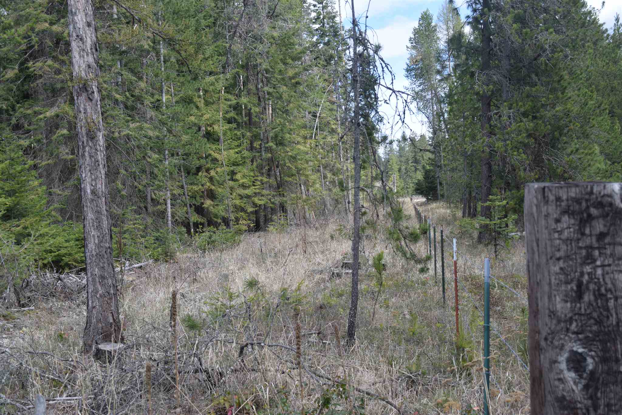 151-xx East Oregon Road Elk, WA 99009 - Photo 12 of 18
