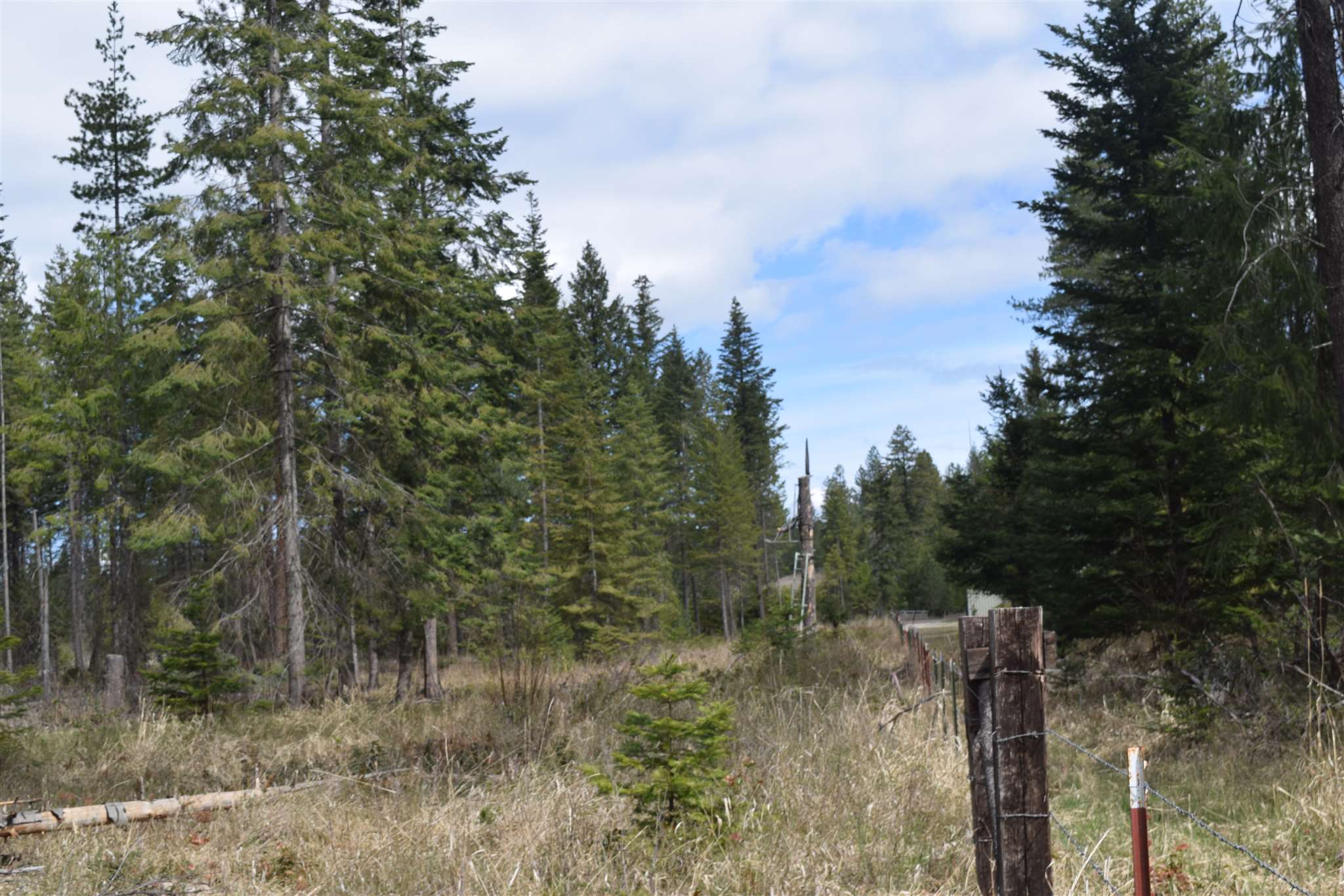 151-xx East Oregon Road Elk, WA 99009 - Photo 13 of 18