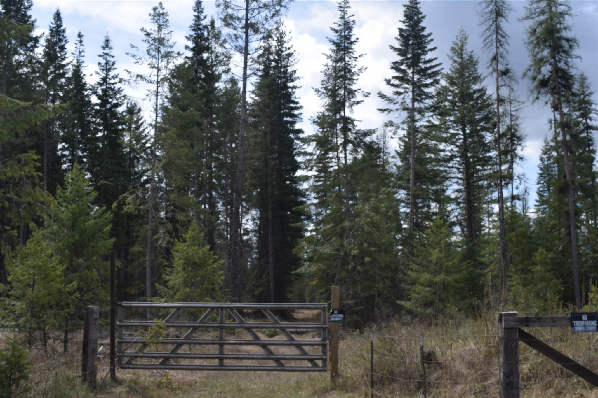 151-xx East Oregon Road Elk, WA 99009 - Photo 15 of 18