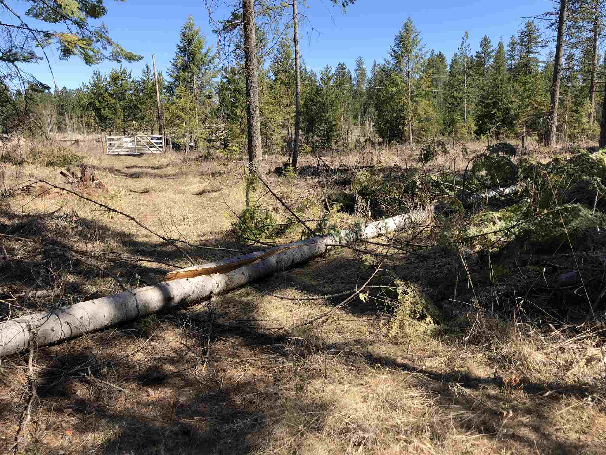 151-xx East Oregon Road Elk, WA 99009 - Photo 3 of 18