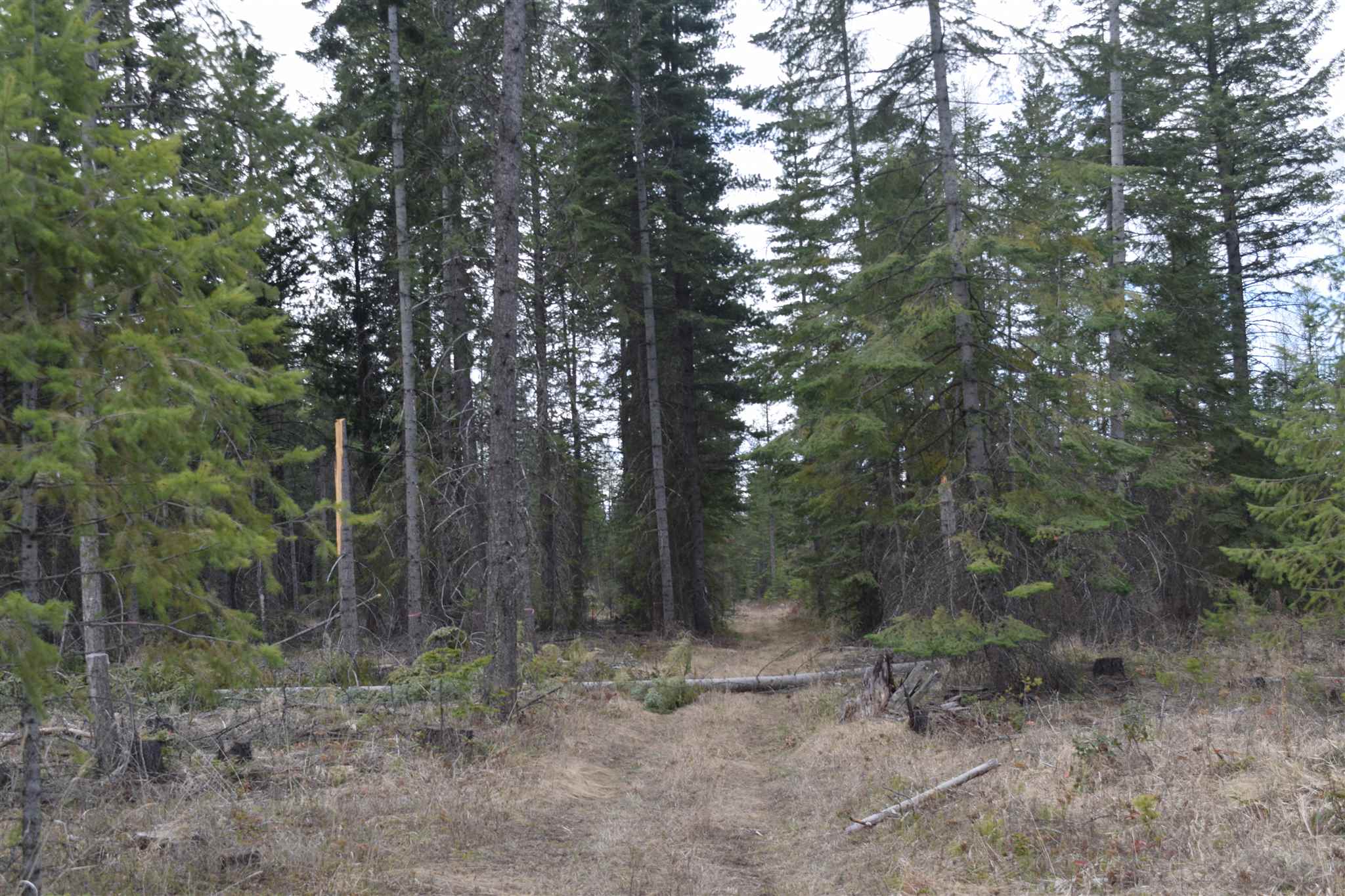 151-xx East Oregon Road Elk, WA 99009 - Photo 4 of 18