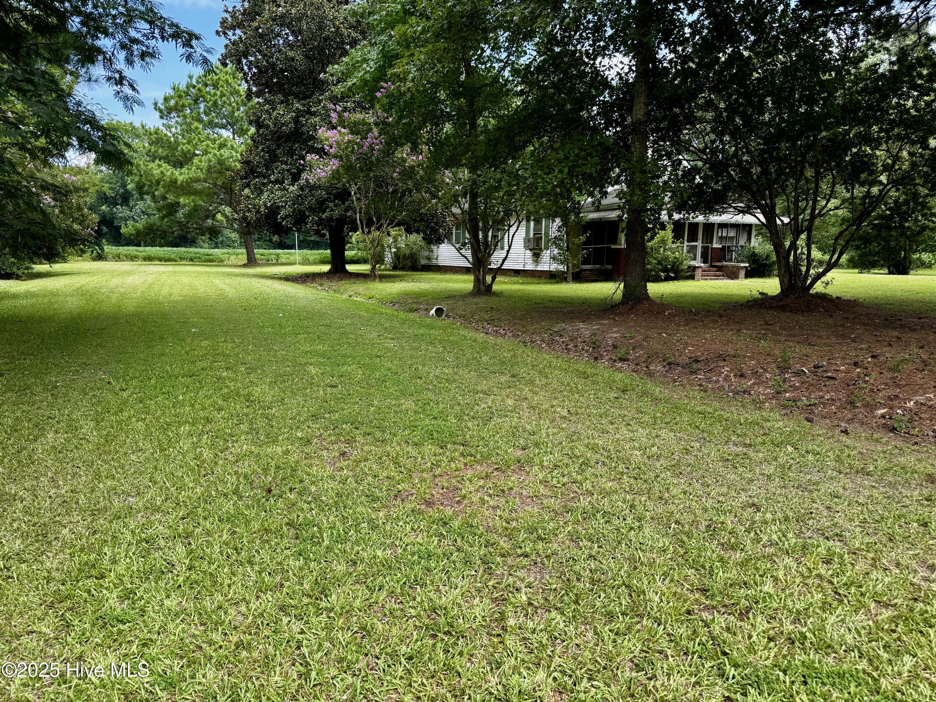 175 Union Hall Road Hertford, NC 27944 - Photo 20 of 36 Between Trailer and House