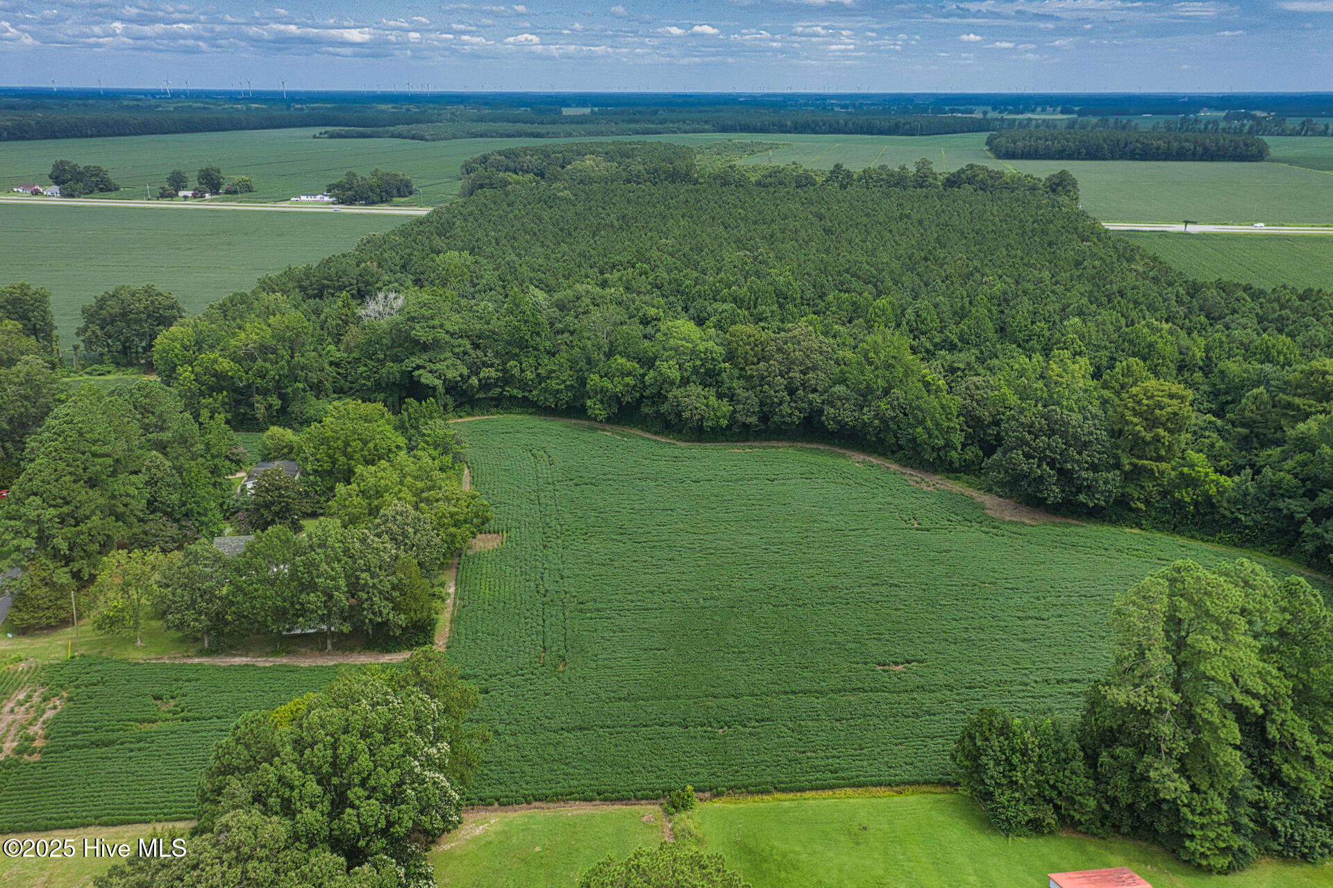 175 Union Hall Road Hertford, NC 27944 - Photo 29 of 36 land being farmed