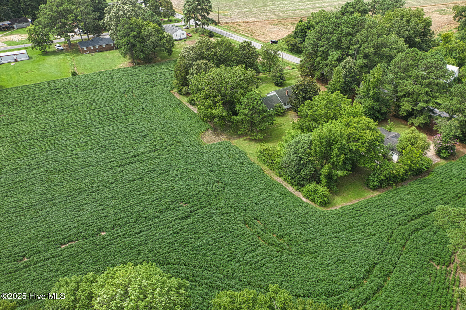 175 Union Hall Road Hertford, NC 27944 - Photo 30 of 36 DJI_0978