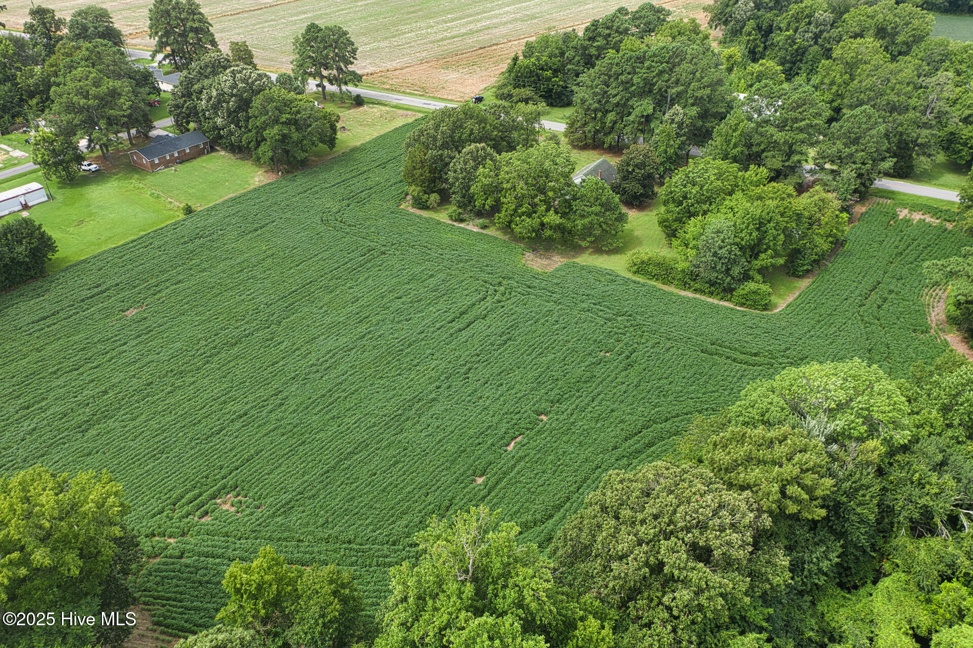 175 Union Hall Road Hertford, NC 27944 - Photo 31 of 36 DJI_0979