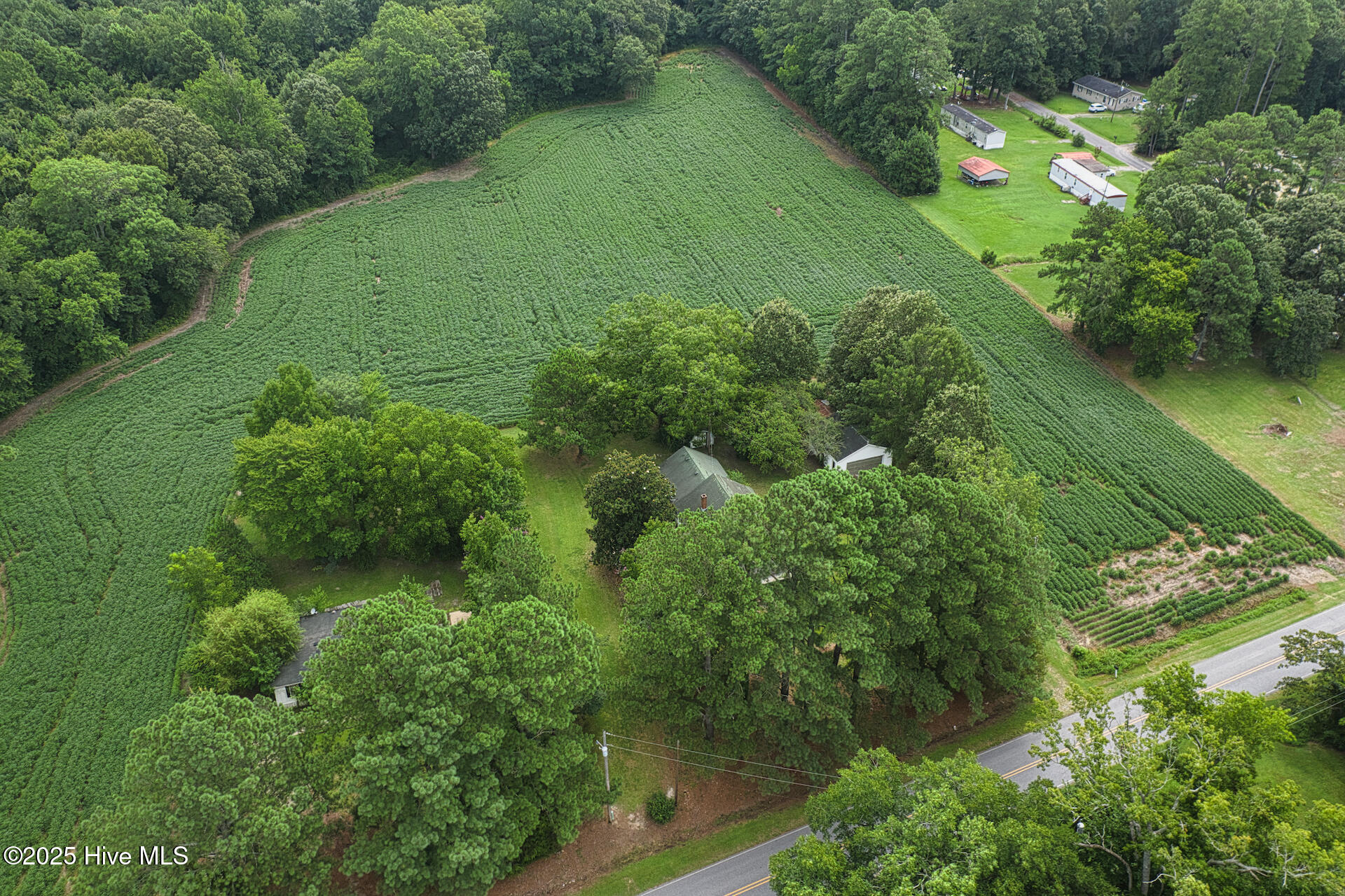 175 Union Hall Road Hertford, NC 27944 - Photo 32 of 36 DJI_0980