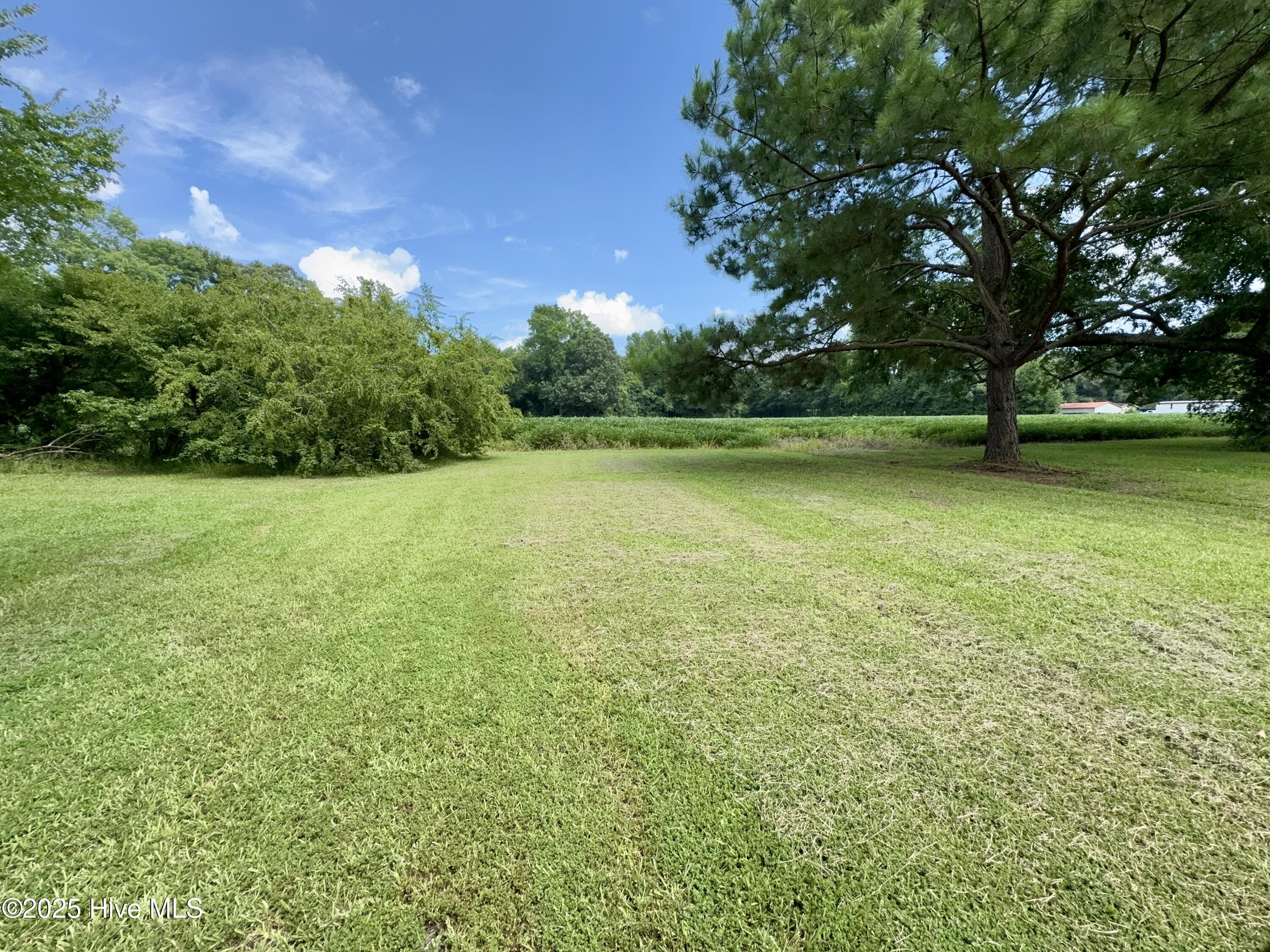 175 Union Hall Road Hertford, NC 27944 - Photo 36 of 36 Open Acreage behind Home & Trailer