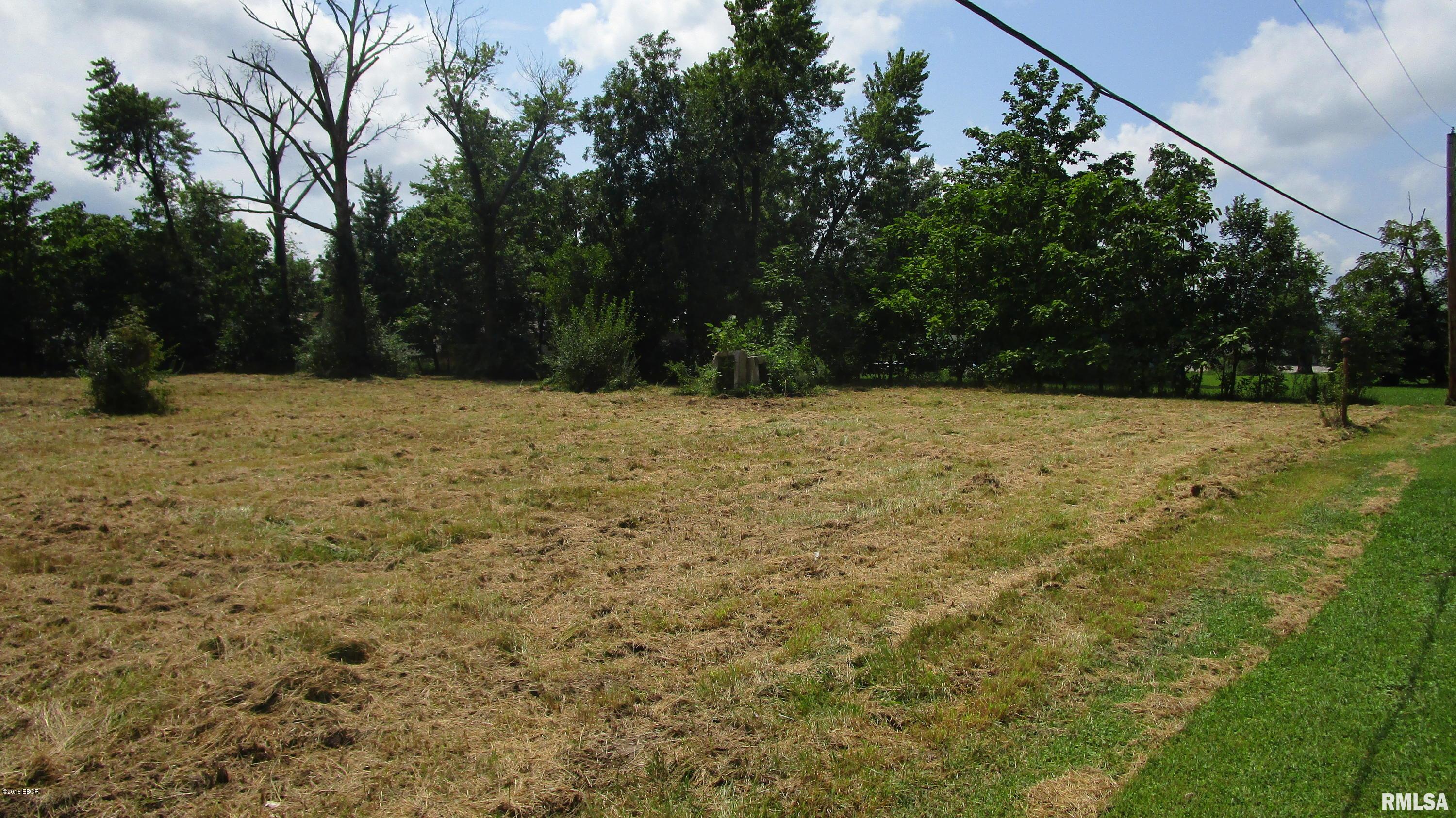 32 Red Bay Lane Flora, IL 62839 - Photo 3 of 7 Gallery Image 3