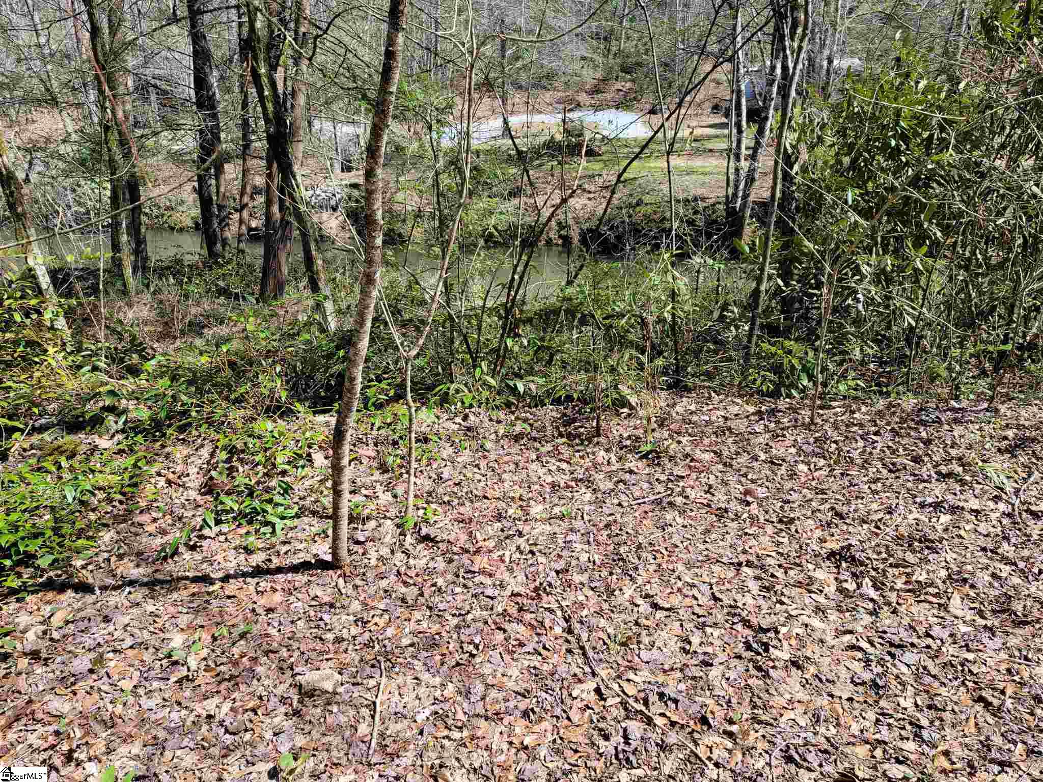 0 Anders Camp Road Cleveland, SC 29635 - Photo 2 of 14