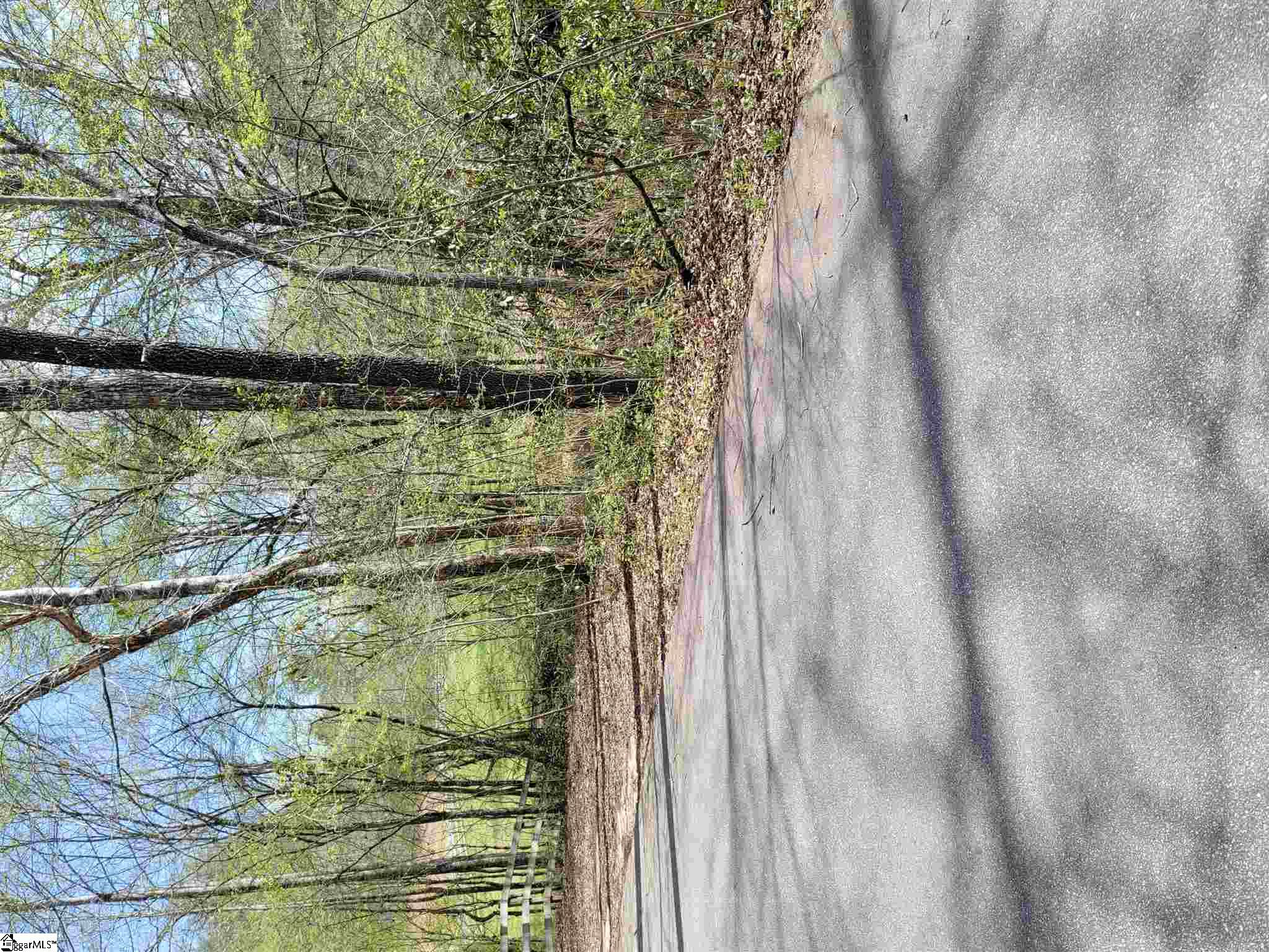 0 Anders Camp Road Cleveland, SC 29635 - Photo 12 of 14
