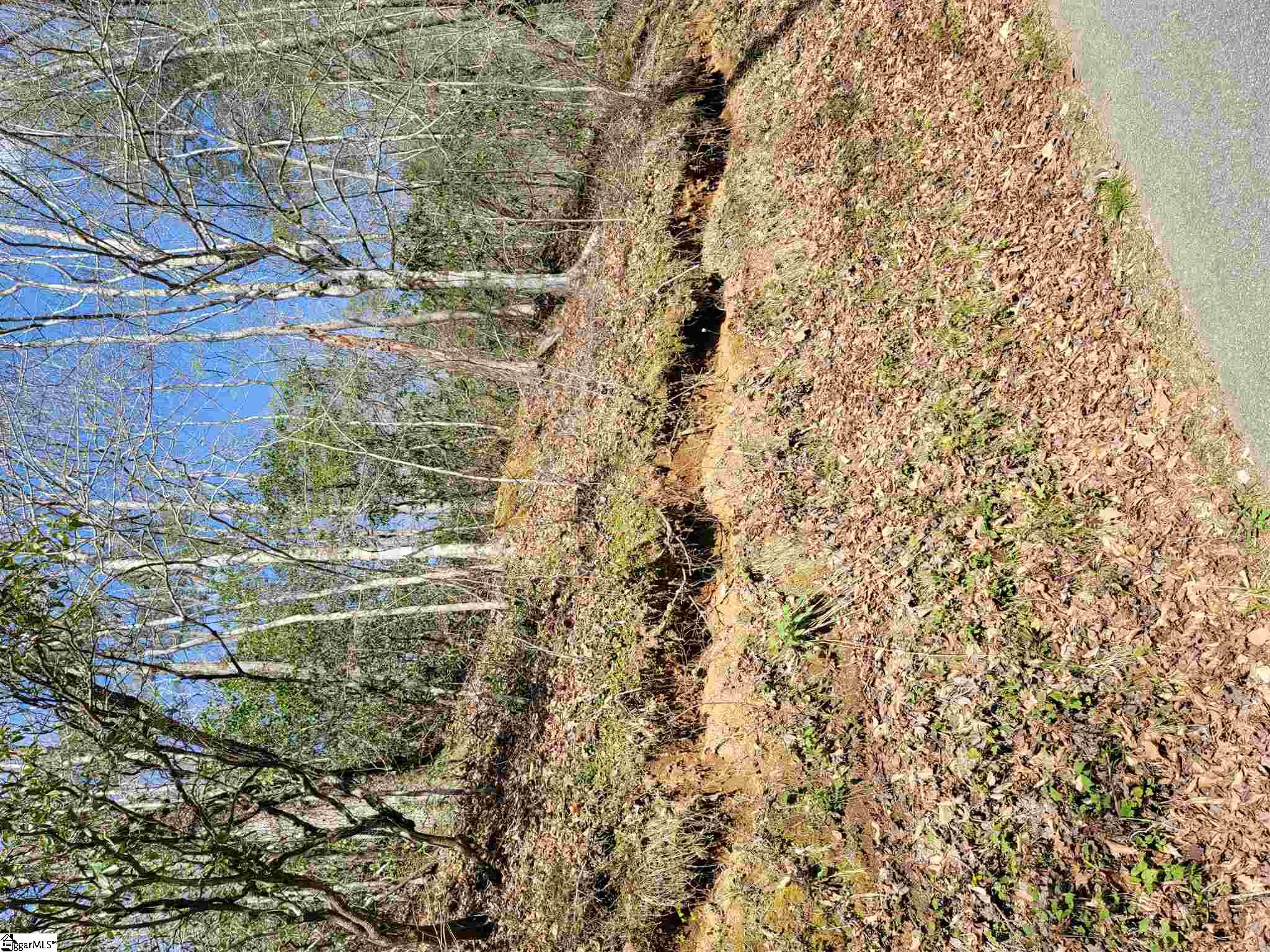 0 Anders Camp Road Cleveland, SC 29635 - Photo 13 of 14