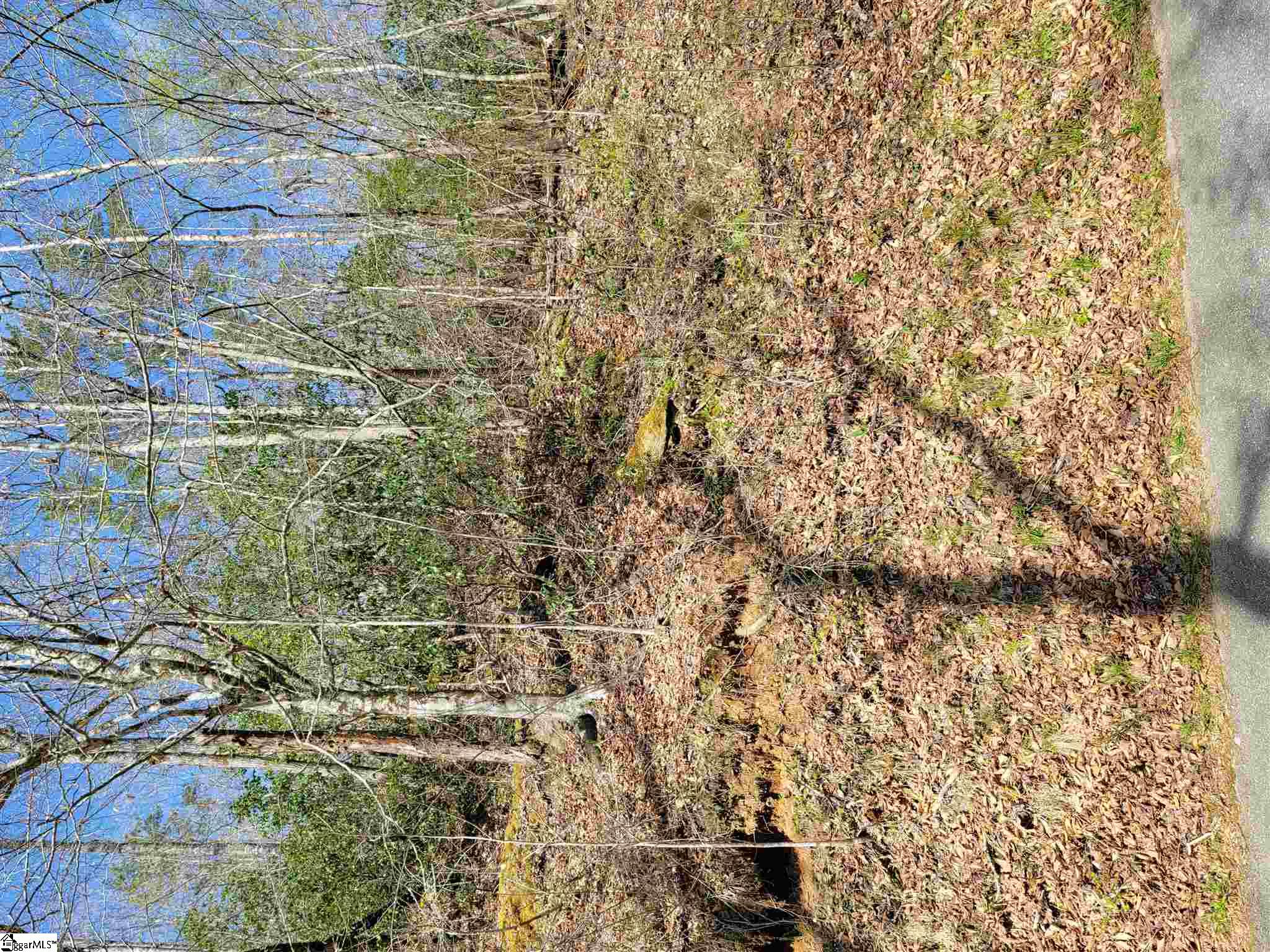 0 Anders Camp Road Cleveland, SC 29635 - Photo 14 of 14