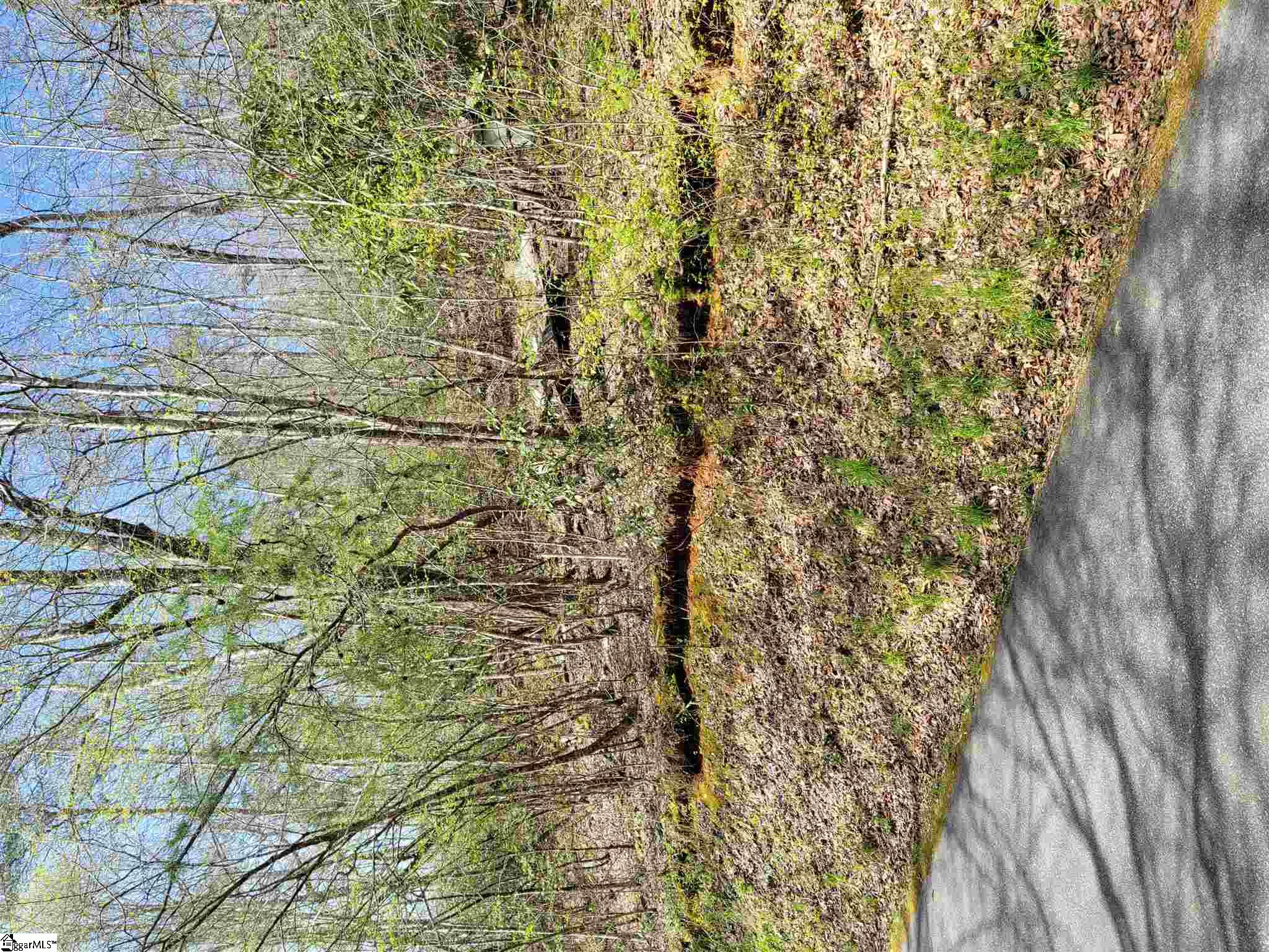0 Anders Camp Road Cleveland, SC 29635 - Photo 3 of 14