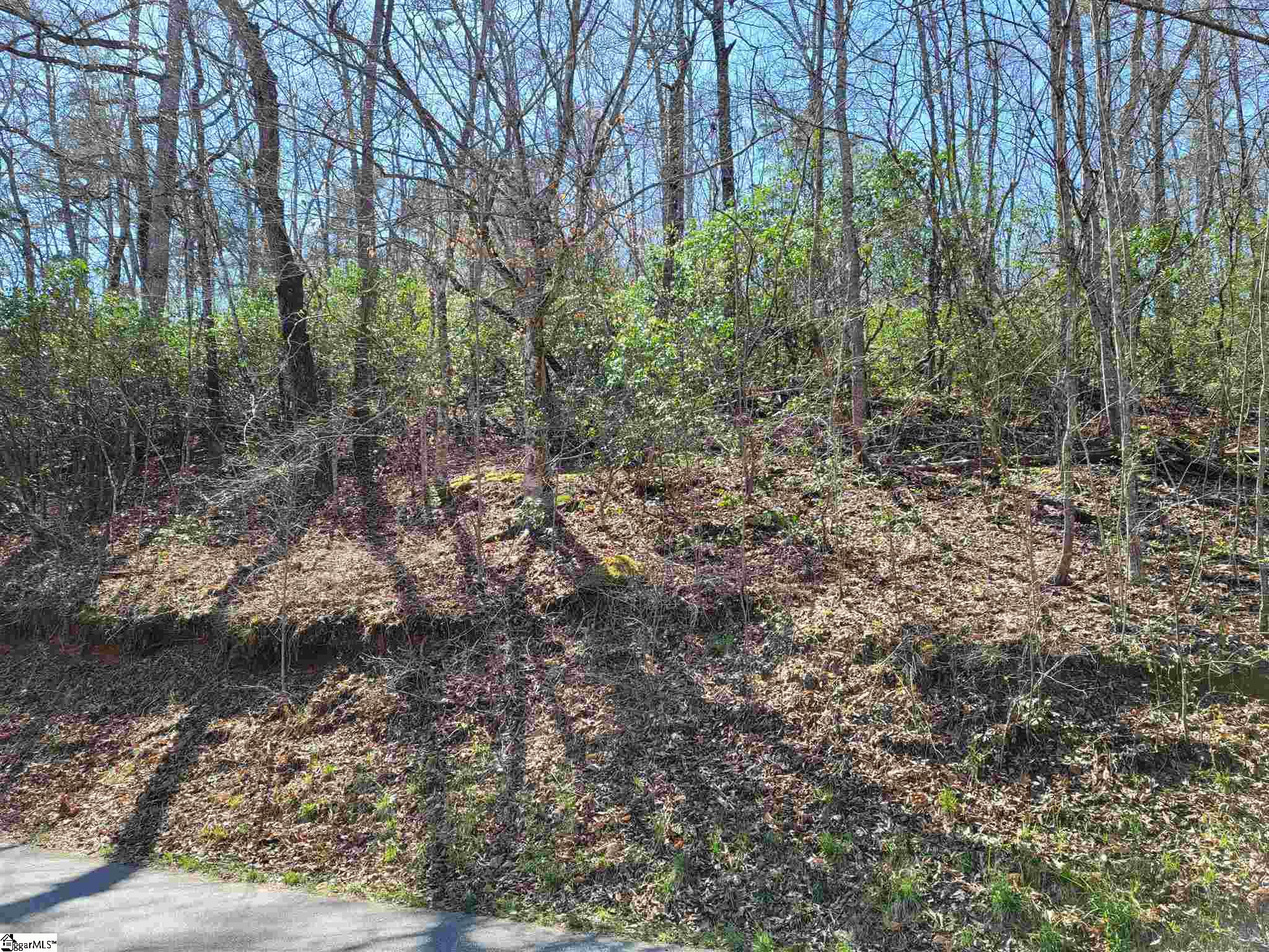 0 Anders Camp Road Cleveland, SC 29635 - Photo 4 of 14