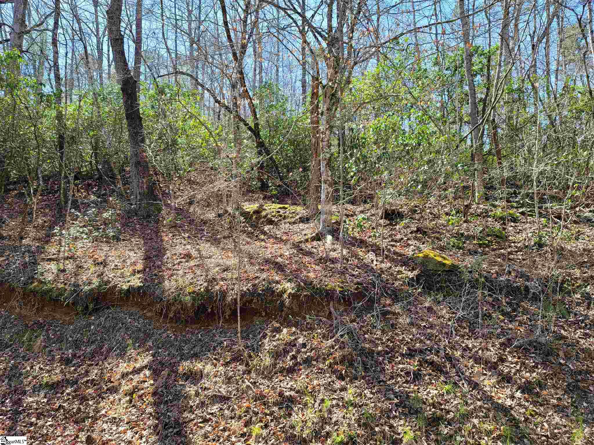 0 Anders Camp Road Cleveland, SC 29635 - Photo 5 of 14