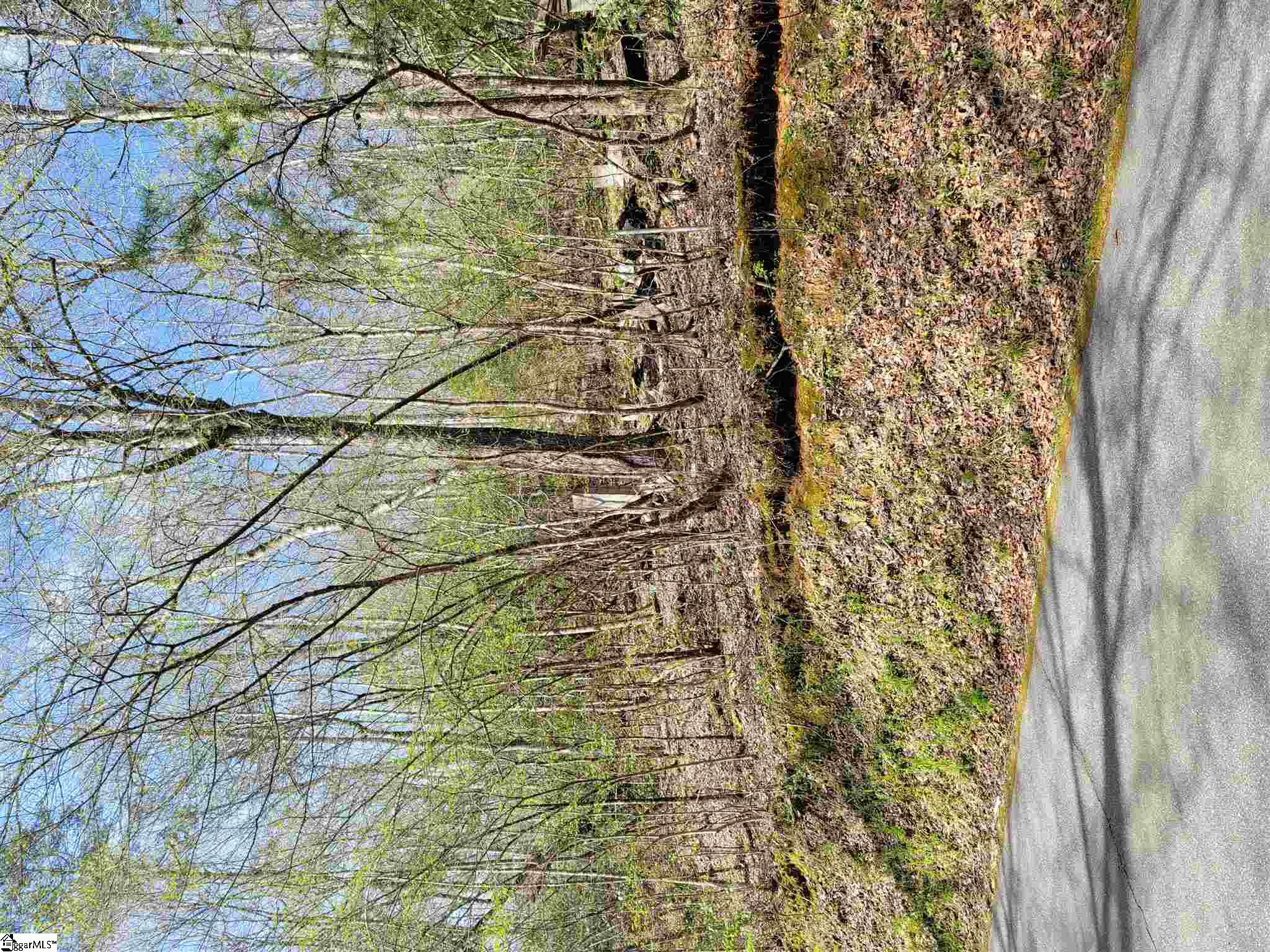 0 Anders Camp Road Cleveland, SC 29635 - Photo 6 of 14