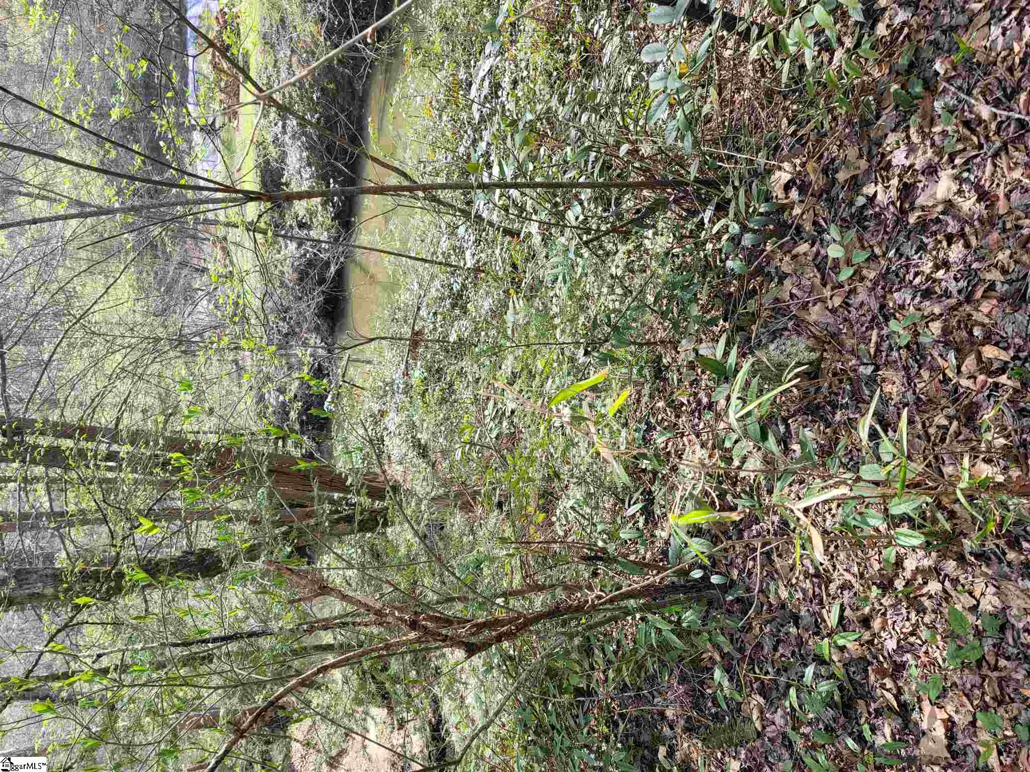 0 Anders Camp Road Cleveland, SC 29635 - Photo 8 of 14