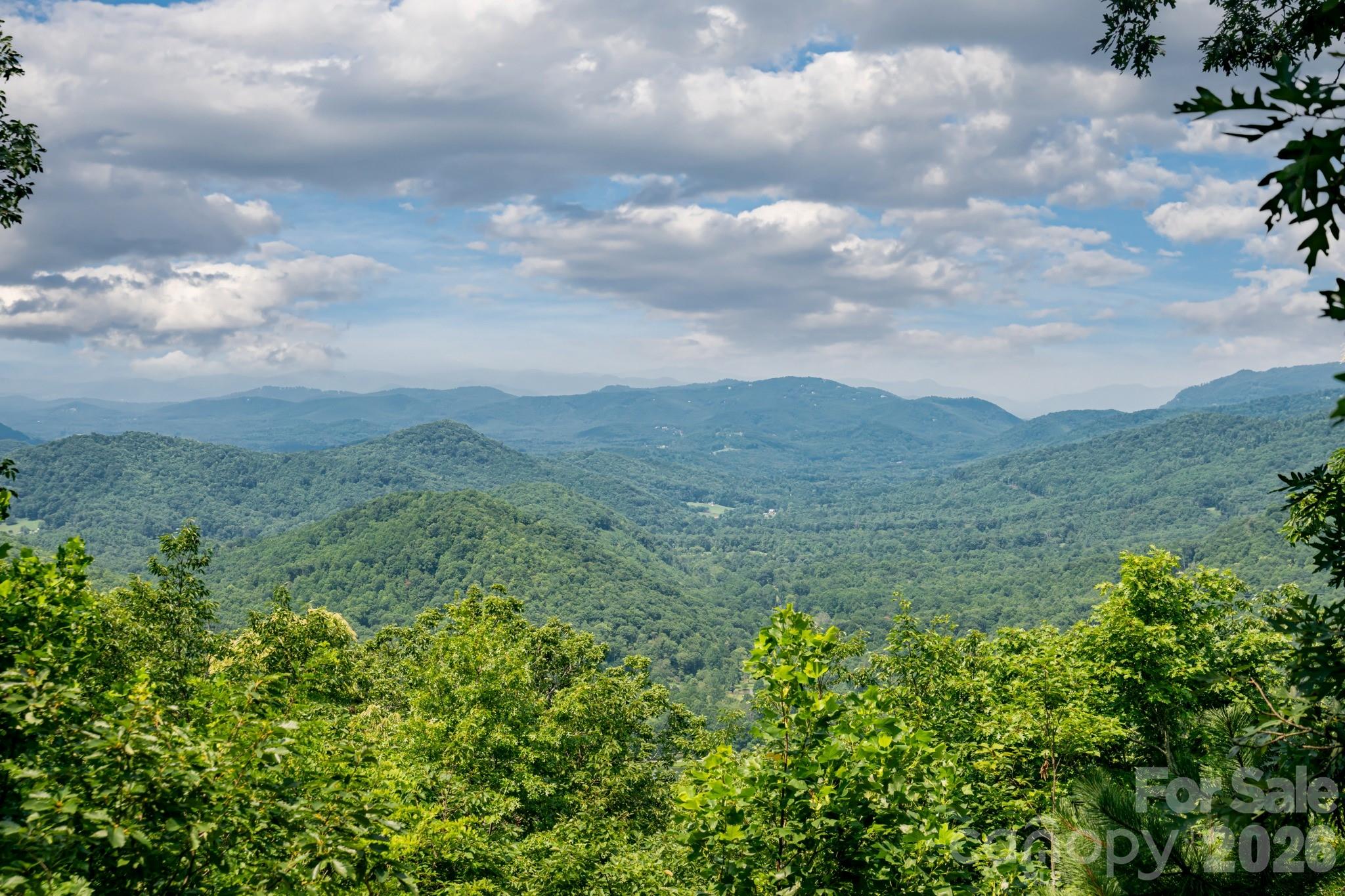 219 Echo Mountain View Road Fairview, NC 28730 - Photo 2 of 48 Gallery Image 2