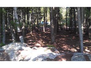 Lot 3 Access Road Weston, ME 04424 - Photo 3 of 6 Photo